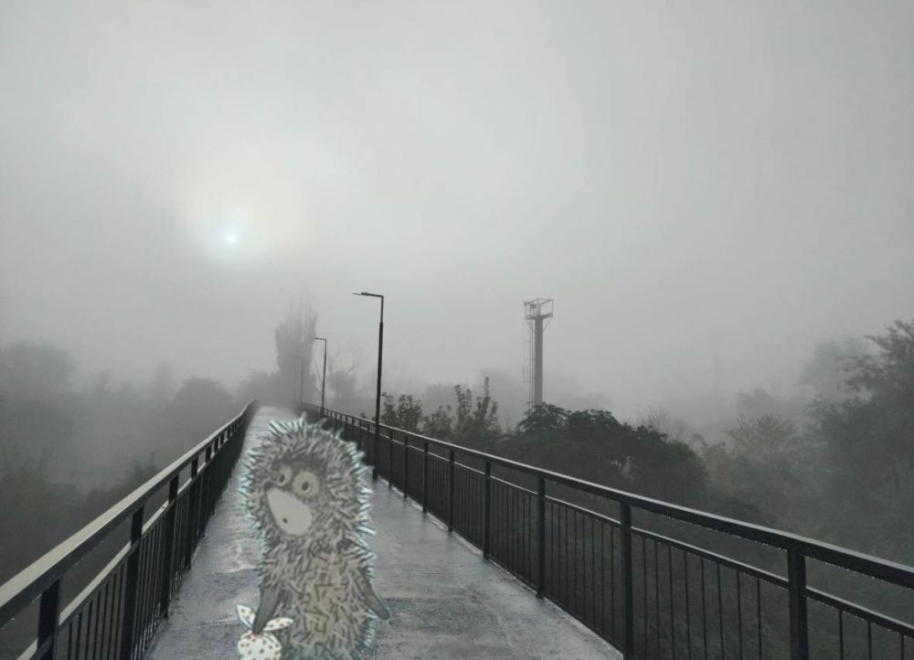 ��� ���������� �� �������� ������