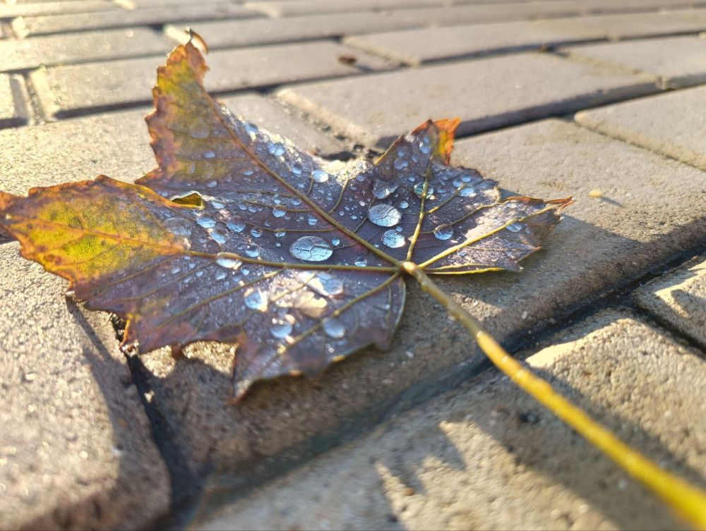 ��� �������� ��������� ����� �� ����� �� � ��, 10 ������� ��������� ���������� ����������, ��� ������������ �������