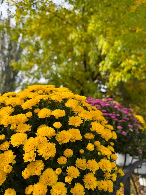 50 �������� �����. ����� ��������� �������� ������, ��������, ��������, ��������� � ����������� ������������