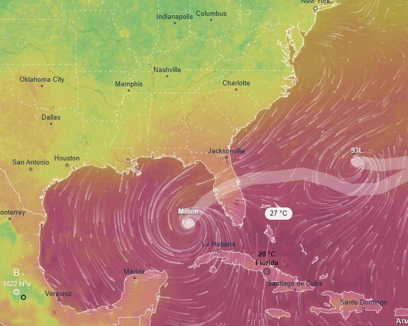 ��� �������� ������ ��������, ������������� �� �������, �� �������� ����� ���������