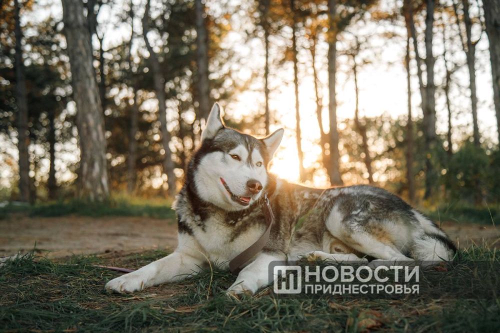 ������������� ������� ��������: ������ ������� ���� 1-� � 2-� ����� - +35 ��������