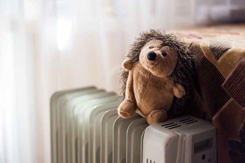 ��������� � �������. � 14 ������� � ������������� ���������� ������������ �����. ����� ������� � ������� ����, �����, ����������� ���������� � ���������, ����� ���������� ���������� ���������� ��� ����� � ��������