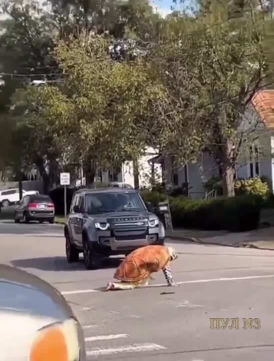 ���� � ���� � ��������, �� ���������� ��� �� ������� ���������