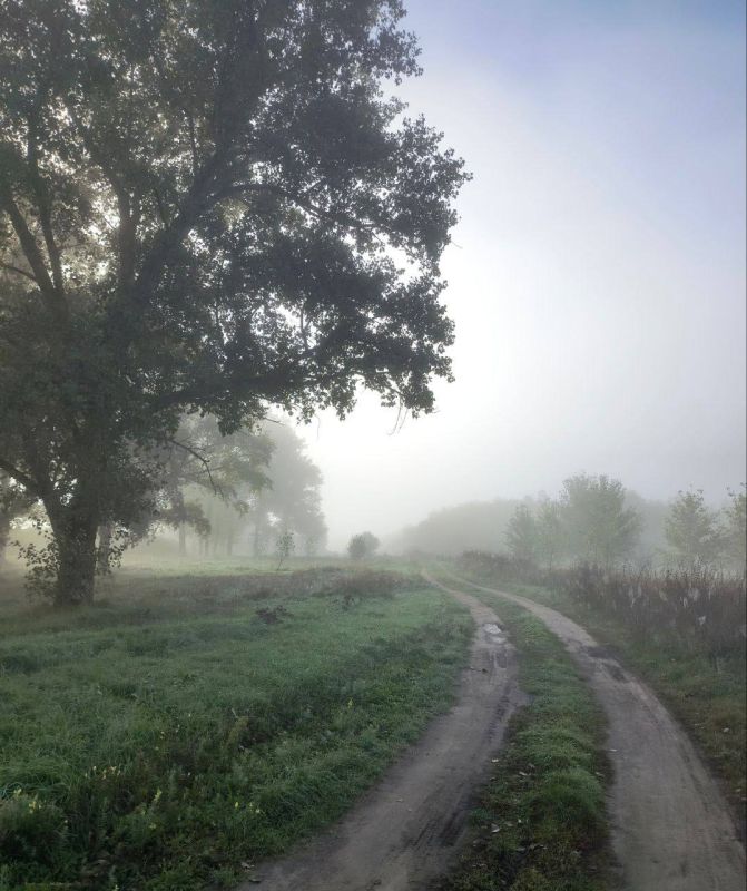 ������ �������� ����. ���������