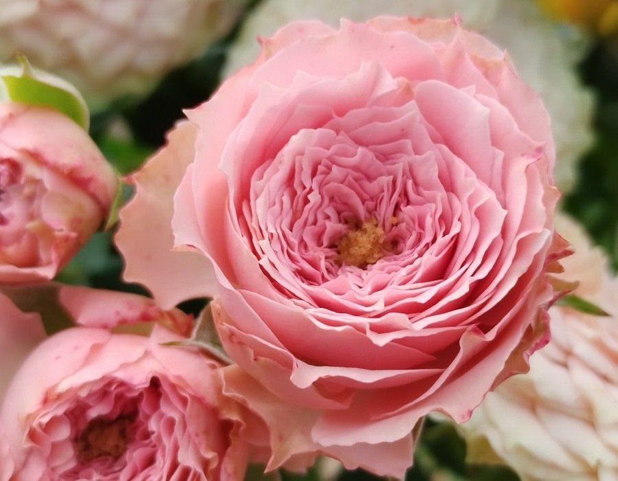 �������� ������ � ��������������� �������