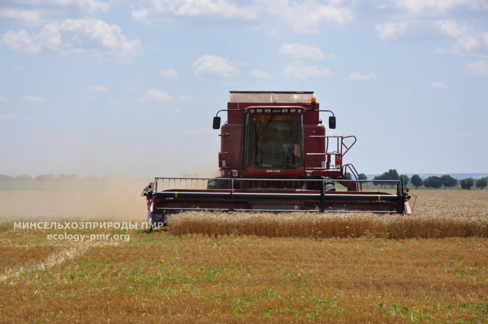 � ���������� ��������� ������ 82% ��������, ��������� ��������� ����������