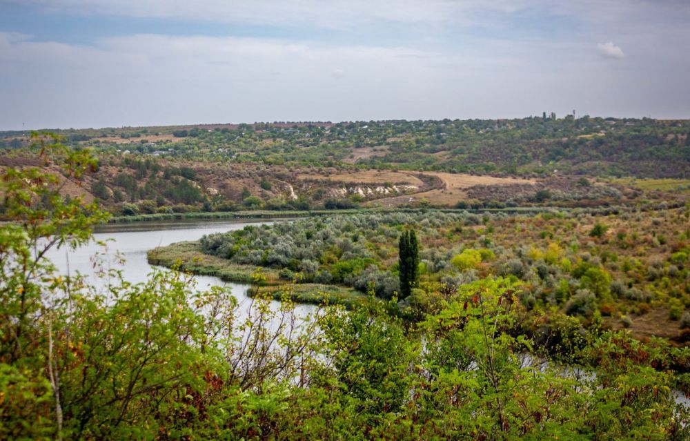 � ������ �������� ��������� ������ ��������� ������ �����, �� ������ � ��� �������