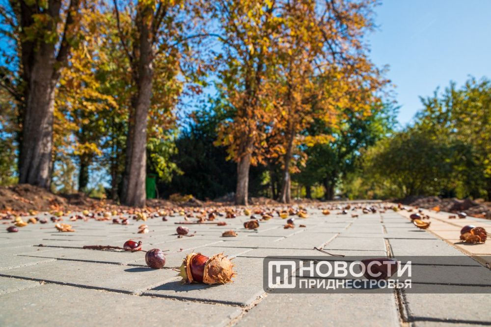 �� ���� ������ � ������������� ��� ������������ ����������������� ����: �������������� ����������� � ����� �� ������ ���� ������� � +15 ��