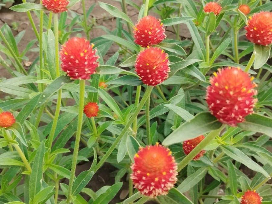 �������� ������ � ��������������� �������