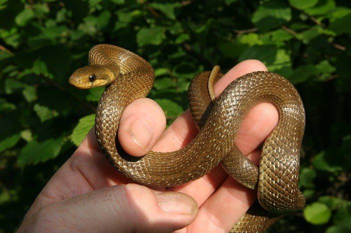 �� ���������� ������� � ������ � ���������� �������������� ����� ����� � �����