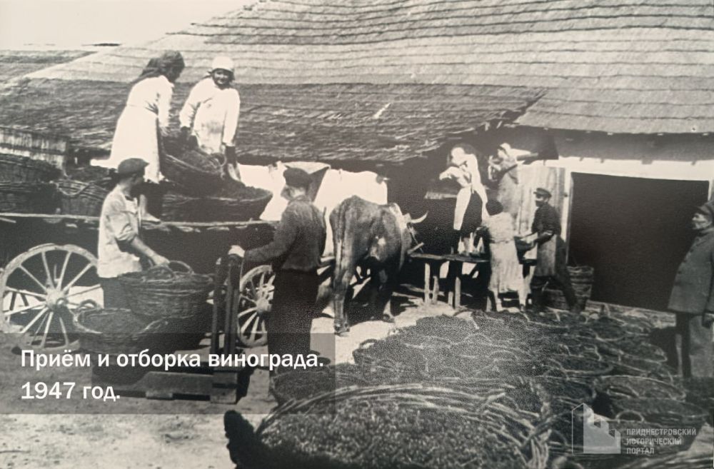 ������� �������� �100 ���