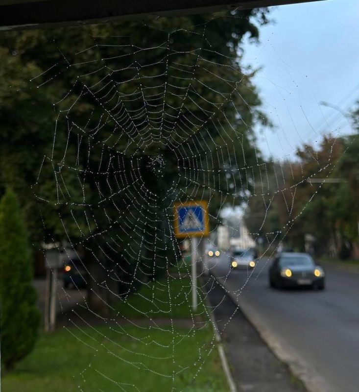 ����� ������� ������� � ���������