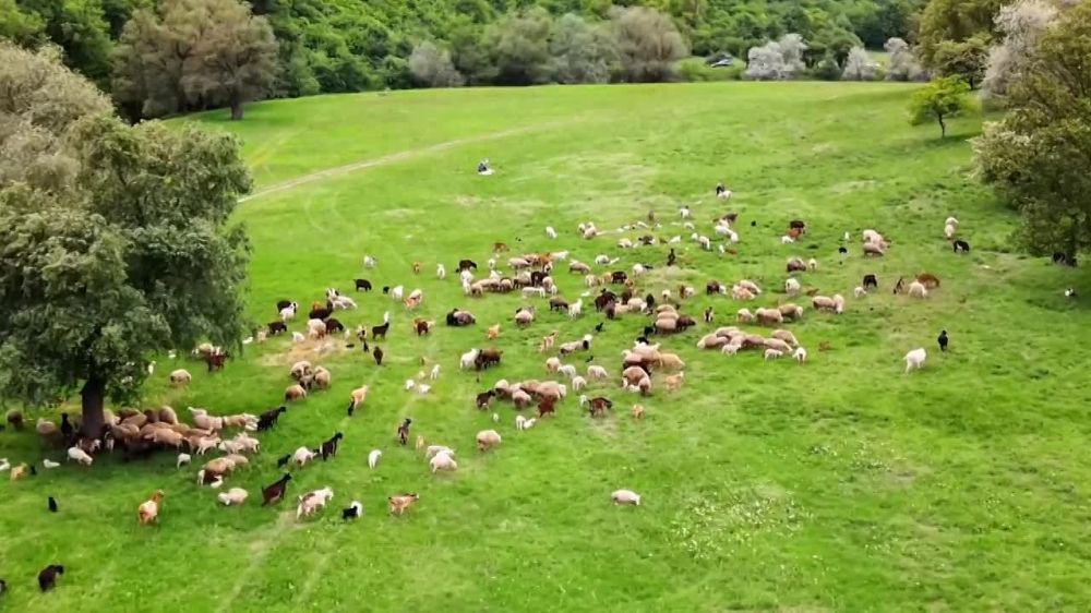 ������ ������� ���� �������� �� ������� � �����������