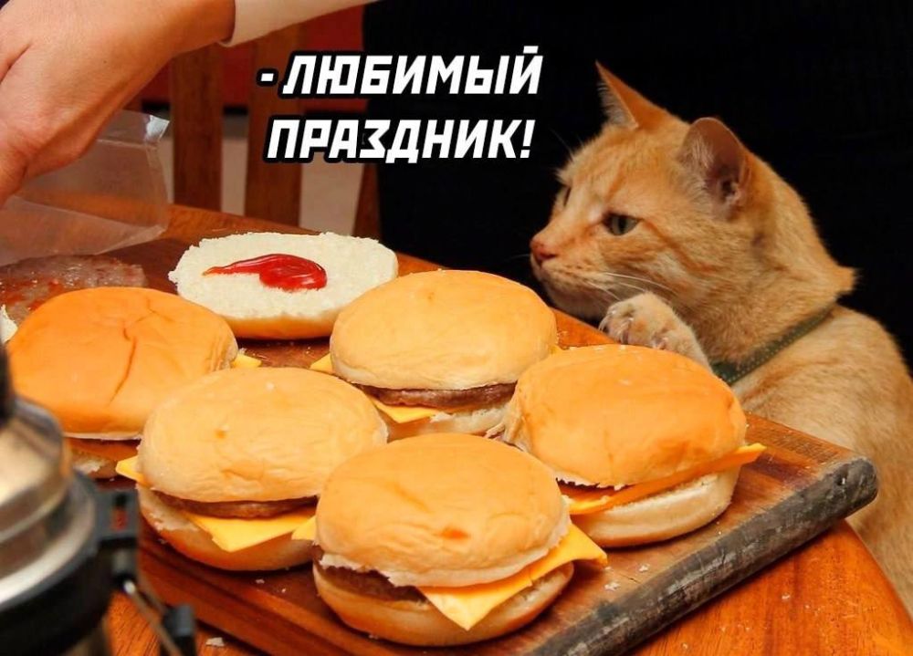 ������� ���� ��������� ����