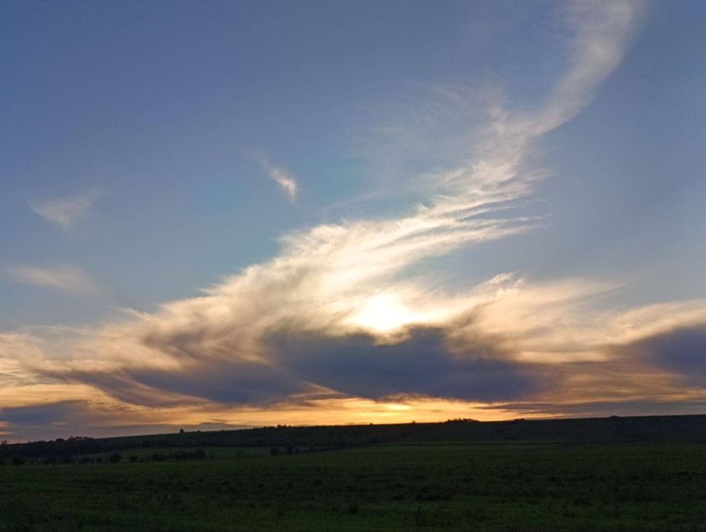 ���� ������� �������� � ��������, ���������� ������ �� ������