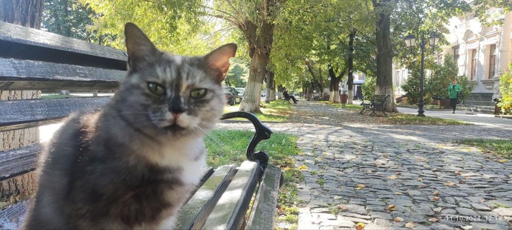 ��� �������� ��������� ����� �� ����� �� � ��, 15 ������� ��������� ���������� ����������, ������� ������� ��������������� �����