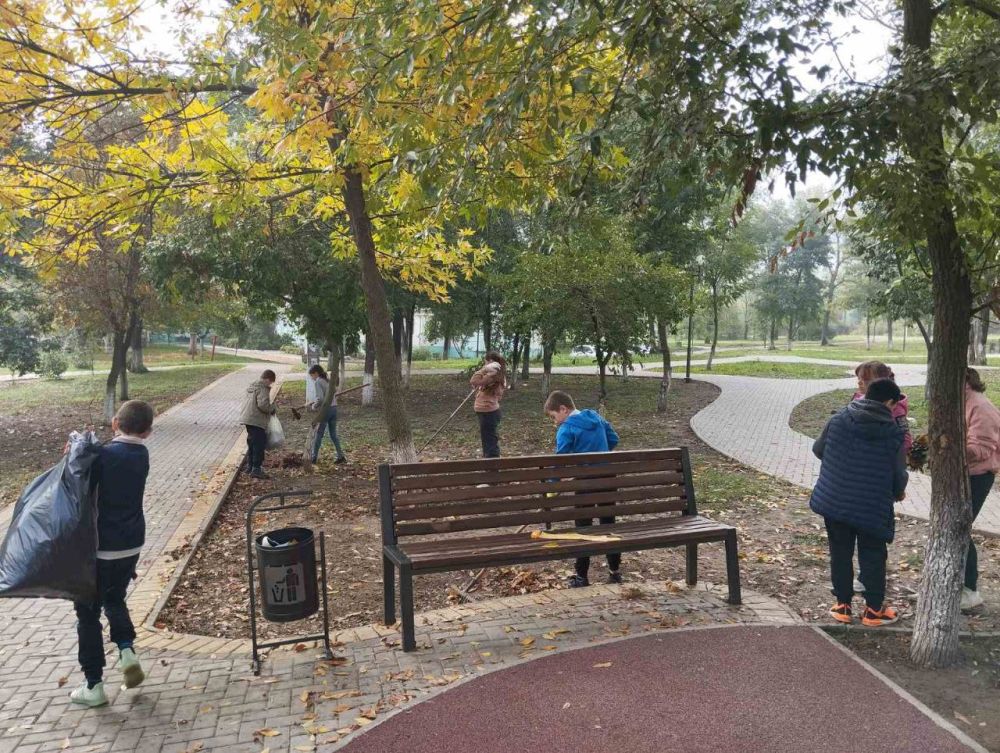 �������� ���������� ����� �17 ������� ��������� � ������ ������������� ����� "�������� ���� ����� ������� � ������"