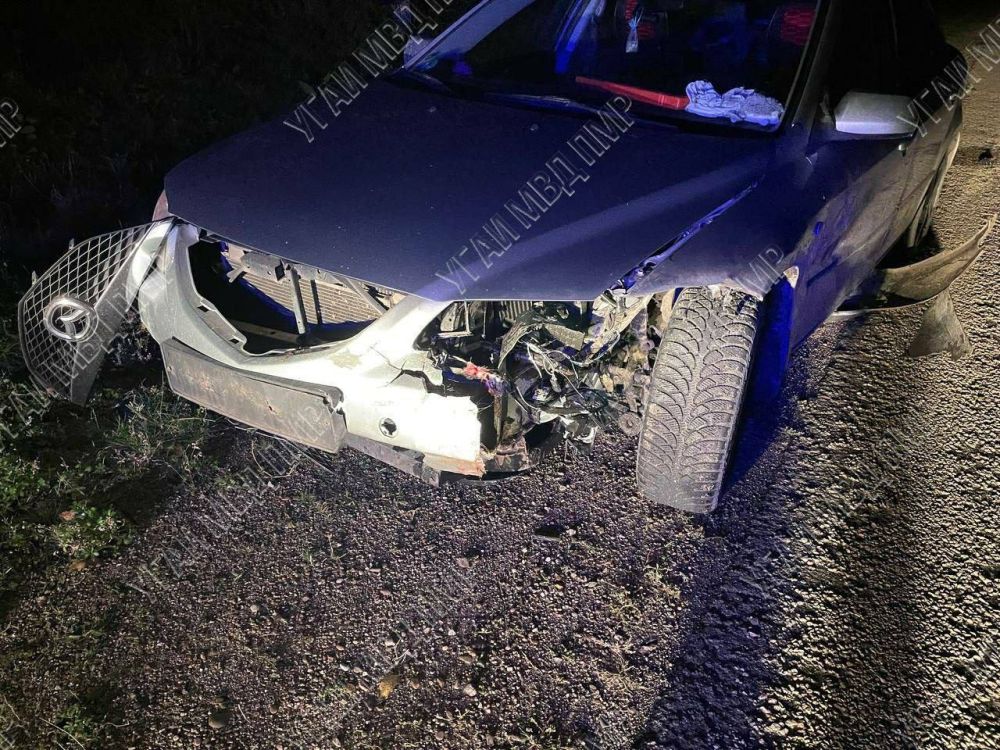 �� ������ ���������-������� �������� ������� �������� ���� ���� �������