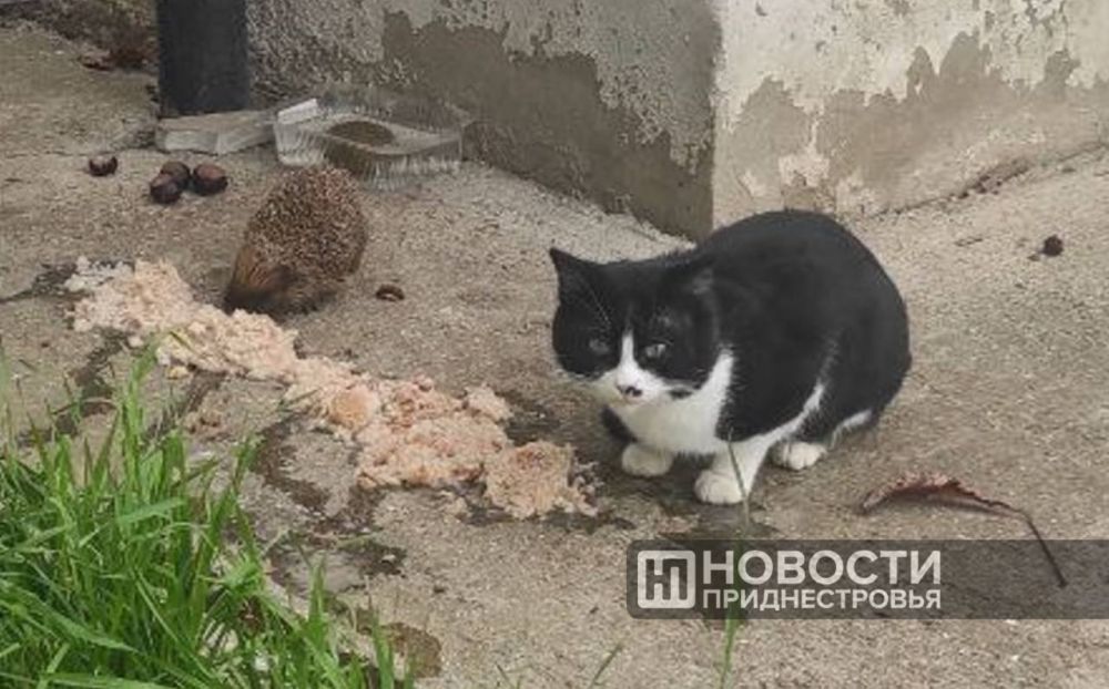 ������ � ����� ����� ��������� �� ������ ���������