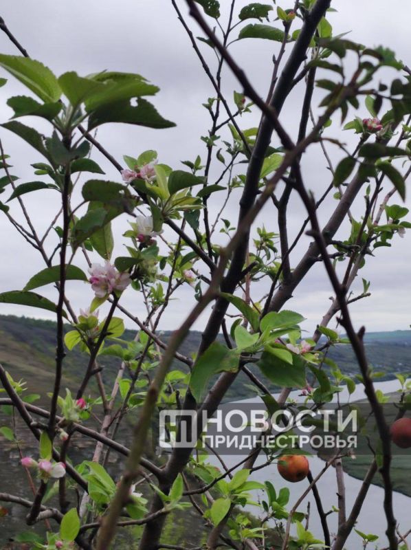 ����� � ����� ����������� �� ������