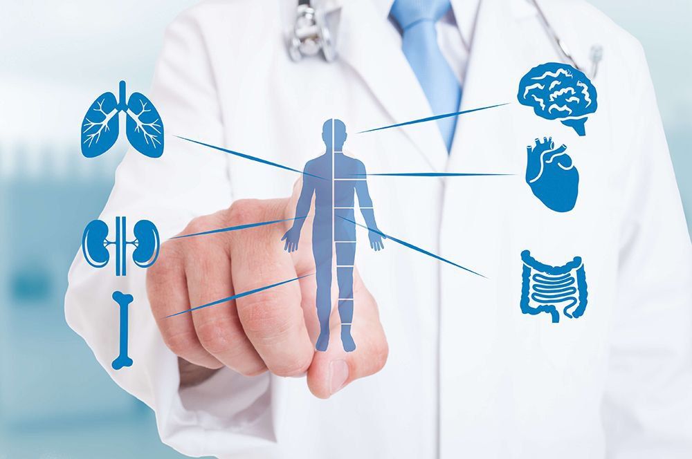 ������������� ��������� ����� ������� ��� ������� �� ����������� ������ �� 2024-2025 ����: