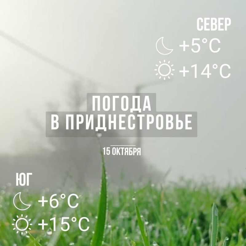 ���� � �� +15��. ������� ������� ��������������� �����