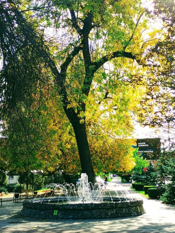 ����� � ����������