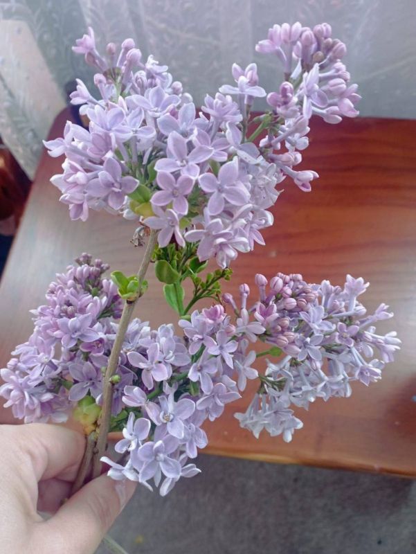 � ���������� (������������� �����) �� ���� ���������� ������� ������