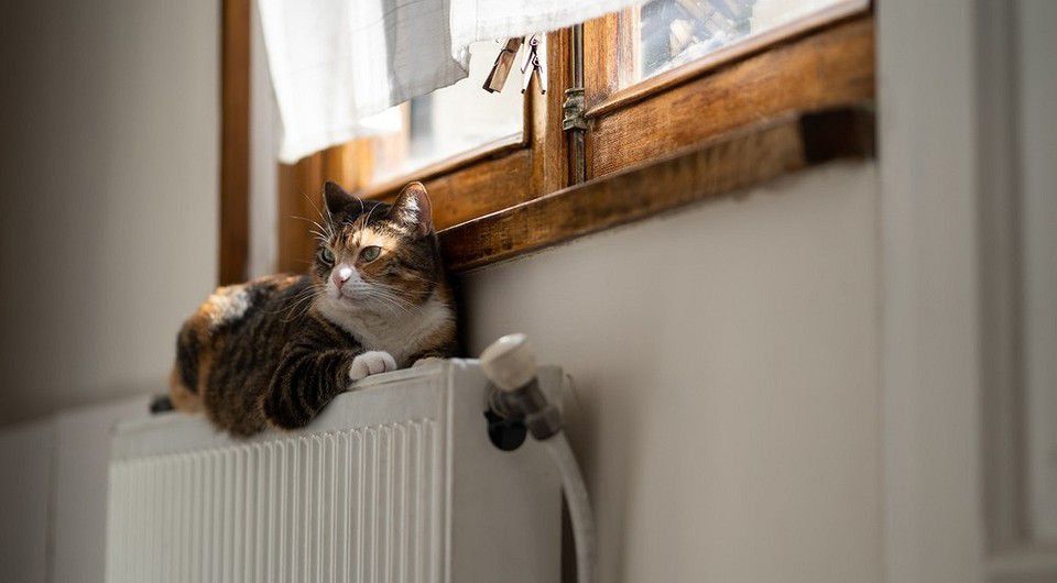 � ������������� ������� ������������ �����