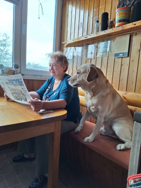 ��� ������ � � �������. ������������ "�������������" �� ��������