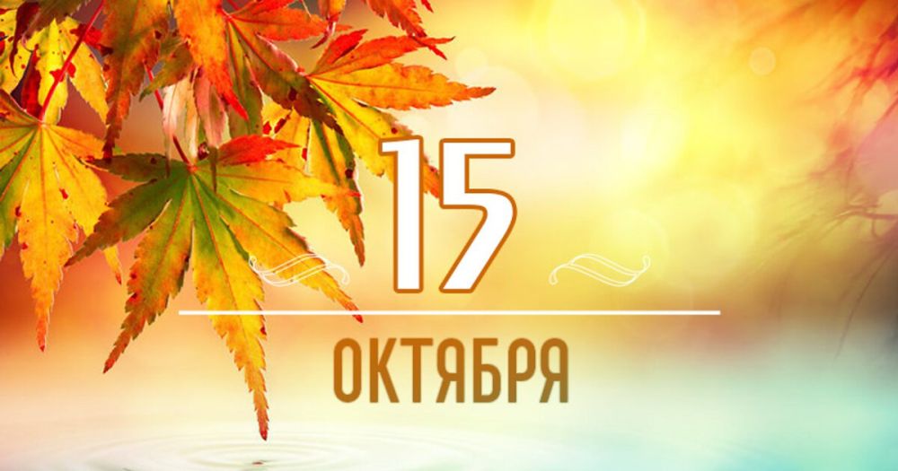 15 �������: ���������� �����