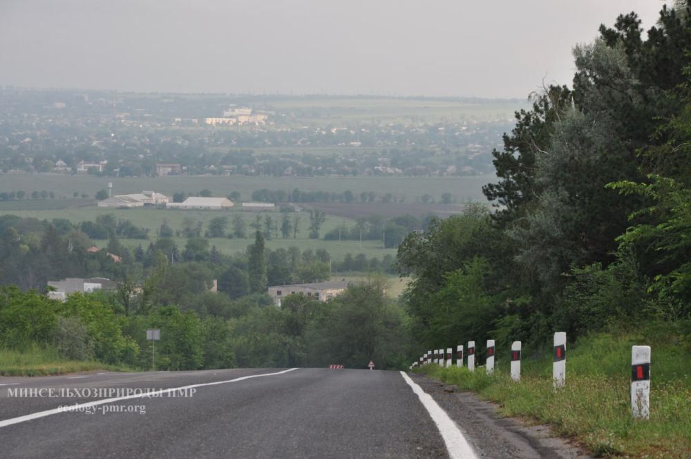 ������� ������. �������, 15 �������, ��������� ���������� ����������, ������� ������� ��������������� �����