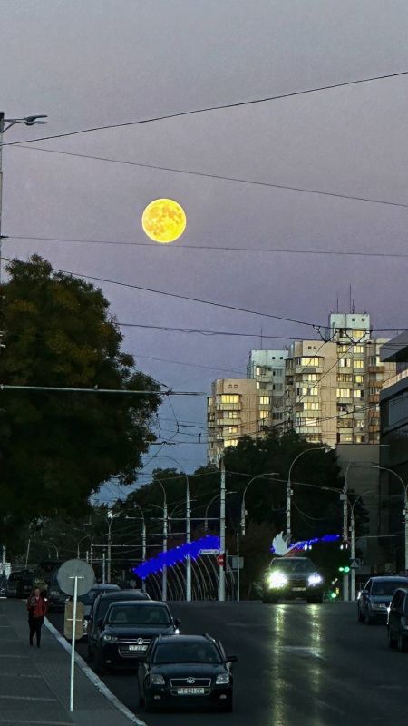 ��������� � ����. ���������� ��� �������