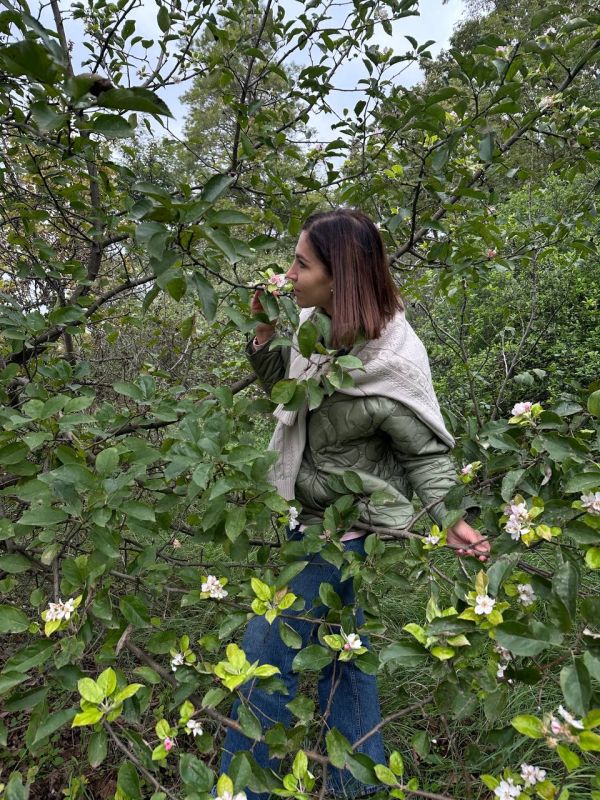 � �� �������� ��������. ���, ������ ������