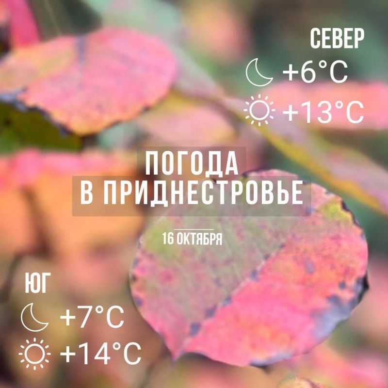 ���� � �� +14��. ��� �������