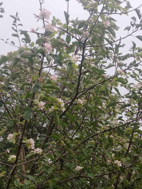 � ���������� � �������� ����� ������� ������