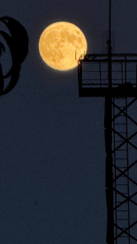 ��������� ���� ������ ��� ��������������