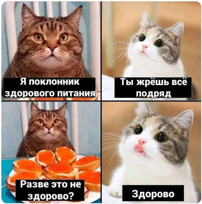 ������� ���������� ��������� ���� ��������� �������