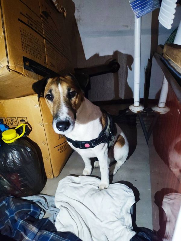 ��������� ����� �� ���������