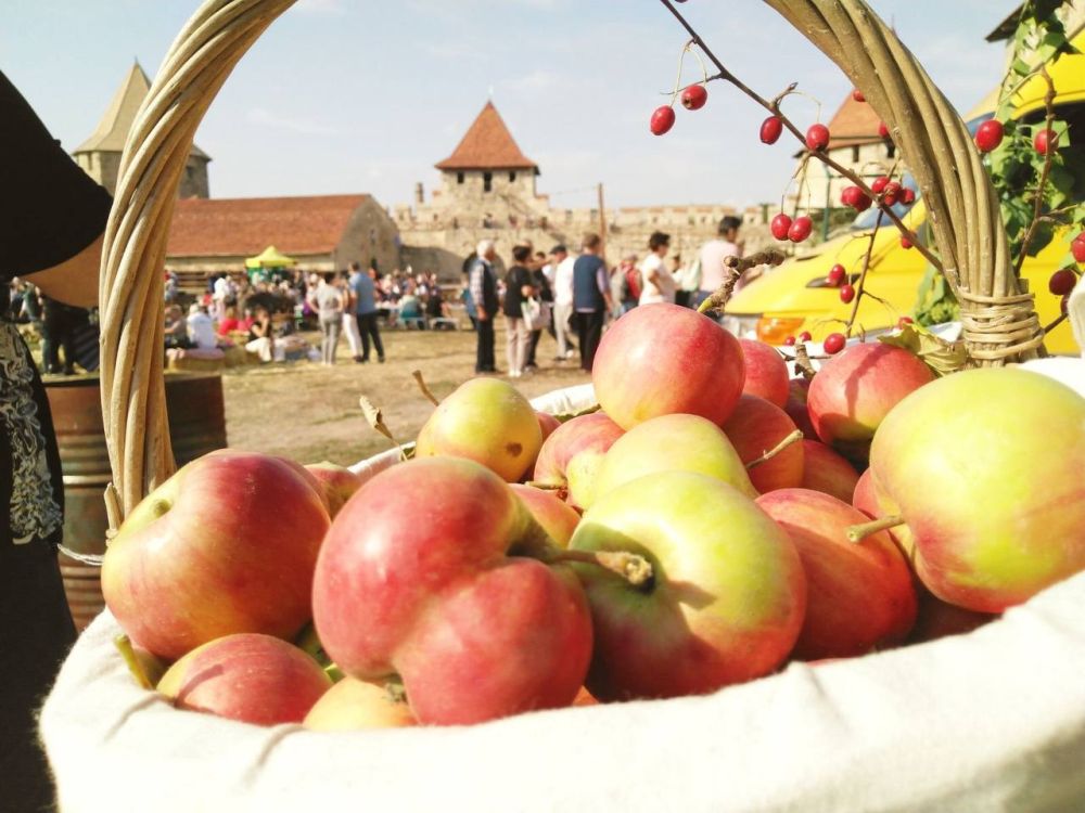 � ��� �����������, 20 �������, � ���������� �������� ������� ��������� �������� ������ �������