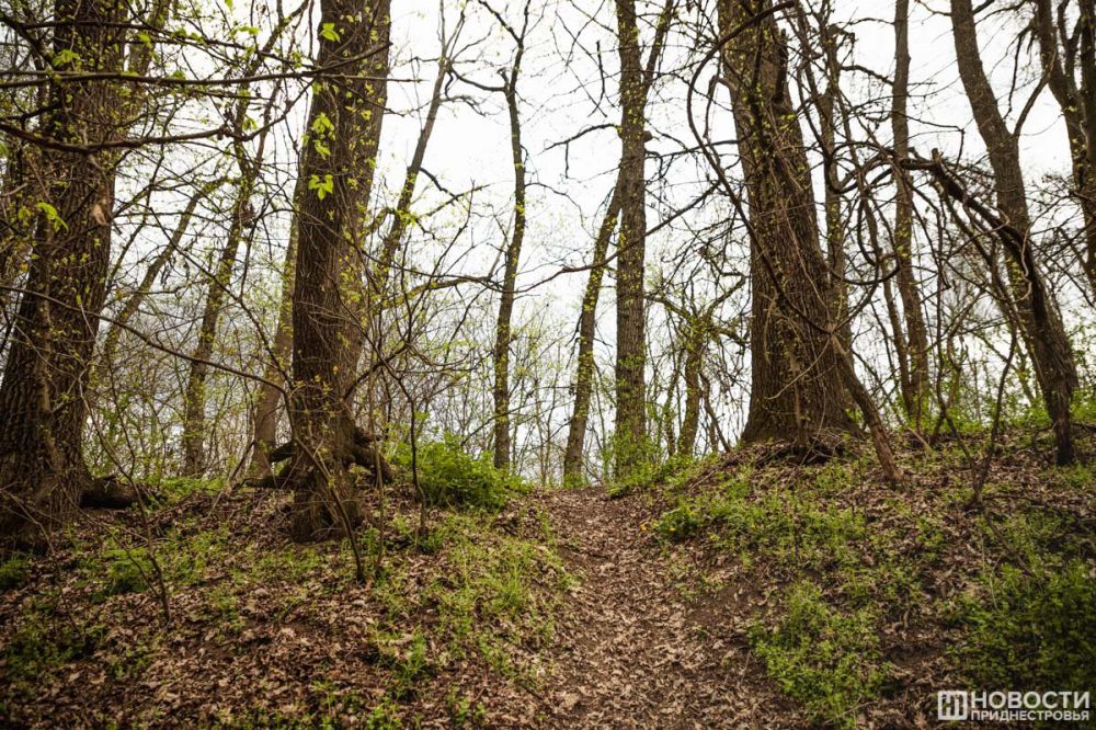 ����� �� ������ ������ ��������� � ������������� 19 ������� � ��������� �� 28 �������