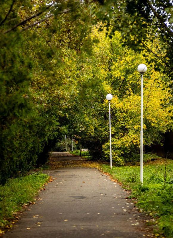 ��� ���� ����������� � ������ - � ��������� ��������� ����� ������ ������� �������