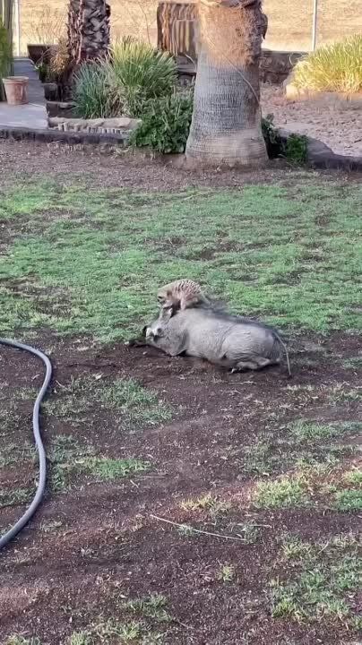 � ������� ����� ��������� ������ � �����