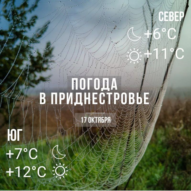 ����� ������� �����. ���� � �� +12��