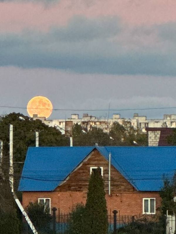 ��� ��������� ���� ��������� ������� ����� ������ ������