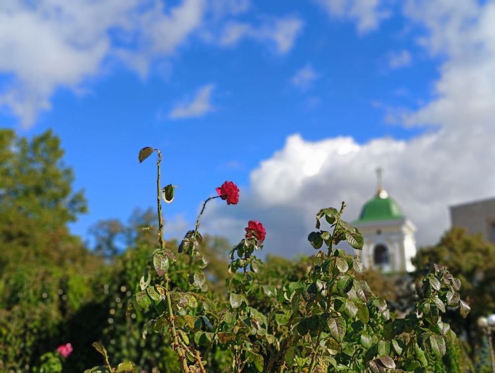 ��� �������� ��������� ����� �� ����� �� � ��, 18 ������� ��������� ���������� ����������, ��� �������