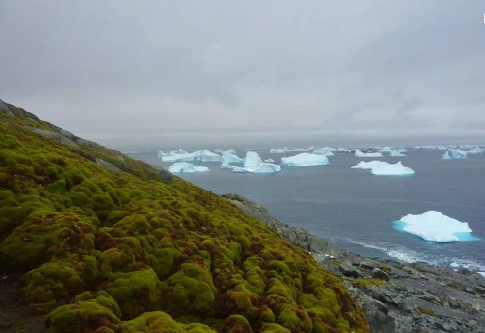 ���������� ������ ��������