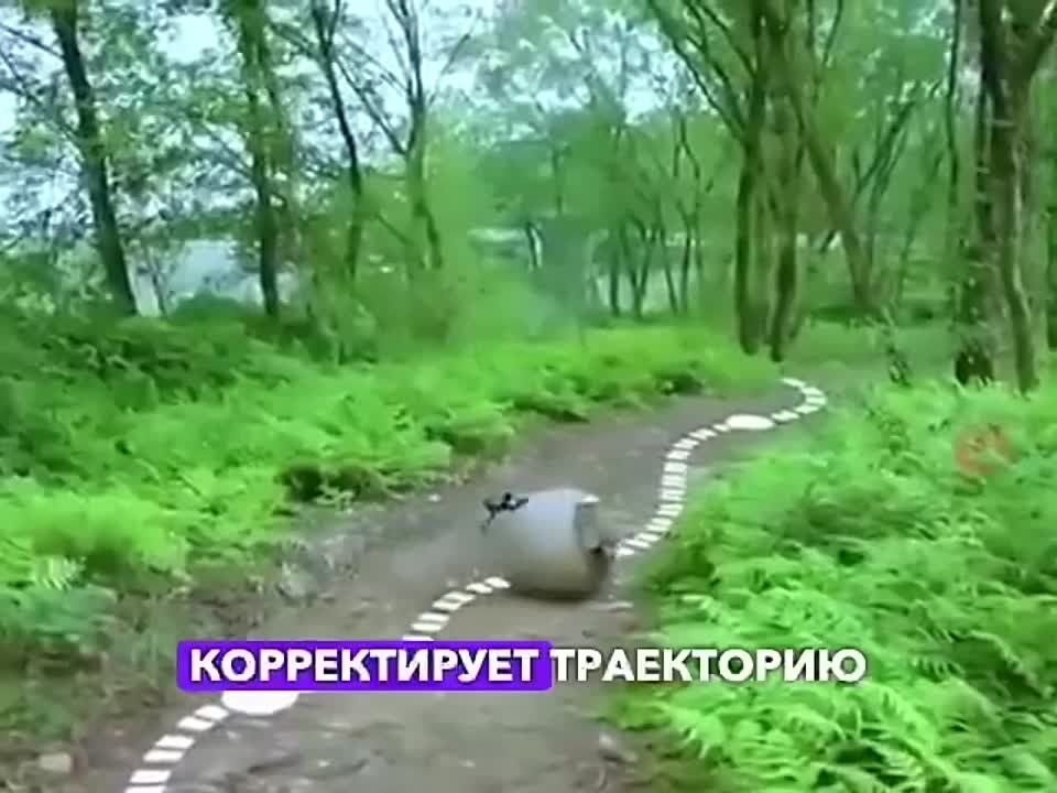 ����� ��� ������� ������������ � ����� ��� ������ �� �������