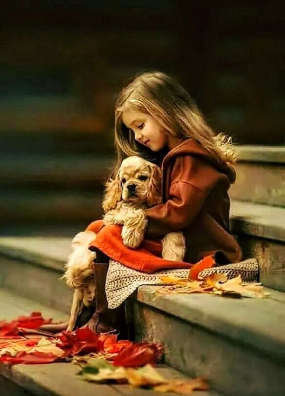 �� ������� �������� �� ��������