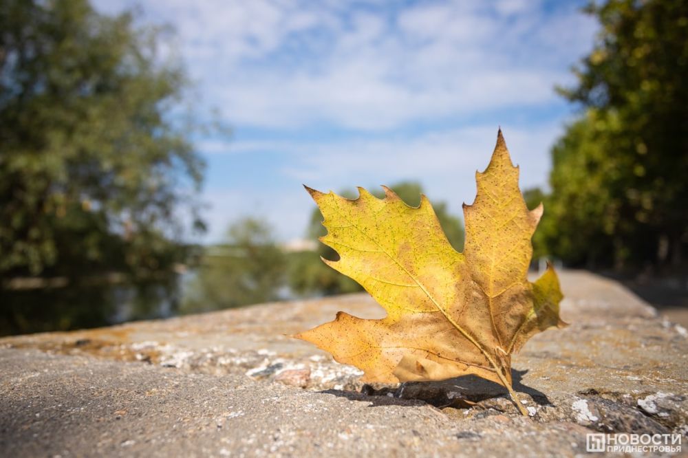 �������������: ����� � ������ ����� ������� ����� ��������� �� ����� �� -3��